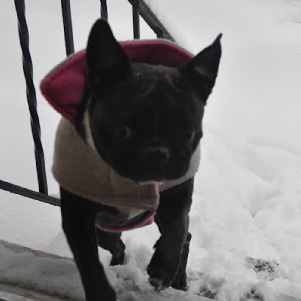 Meet your Posher, Raelynn